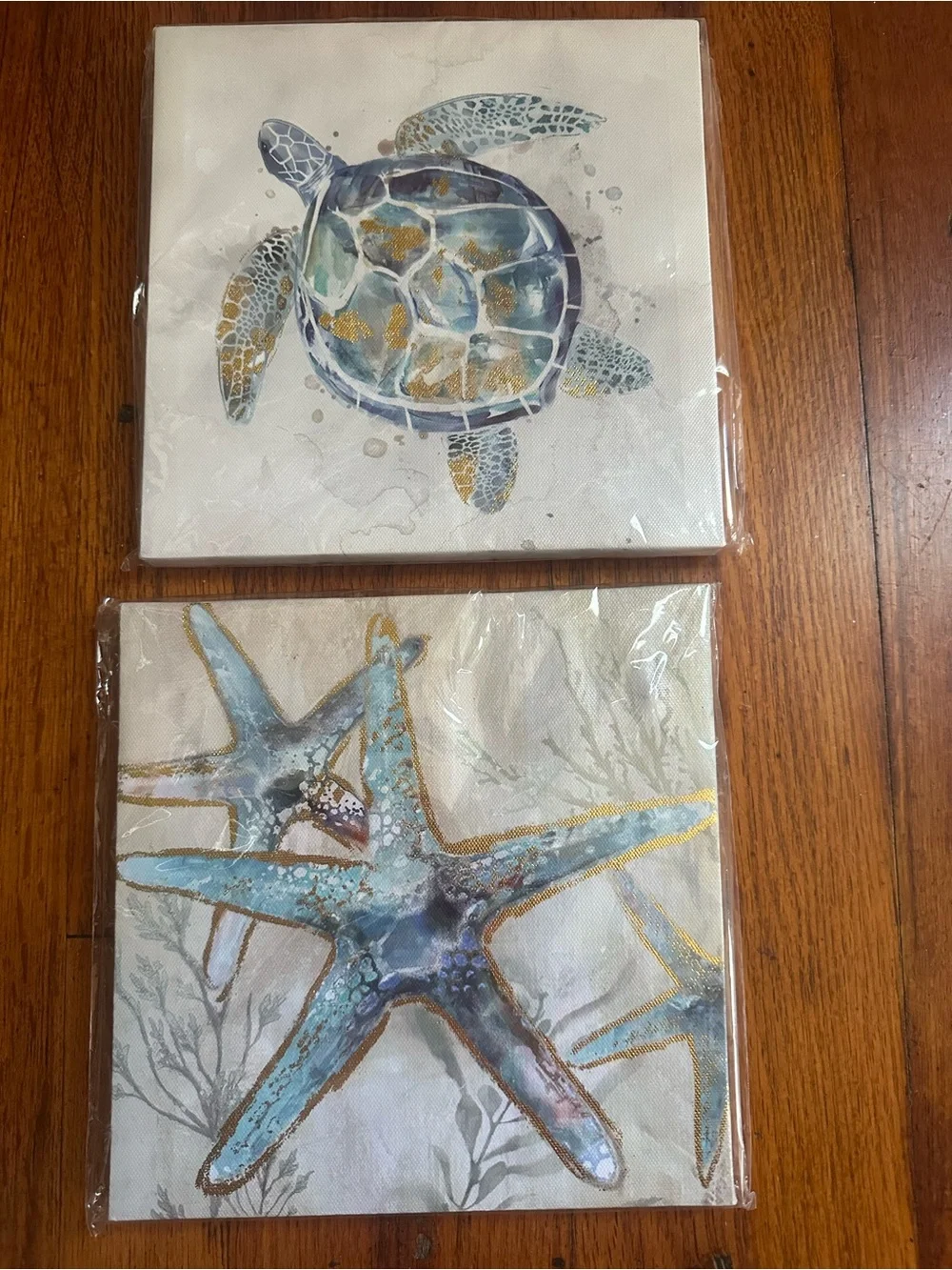 Coastal Turtle and Starfish Wall Art Set - Blue and Gold